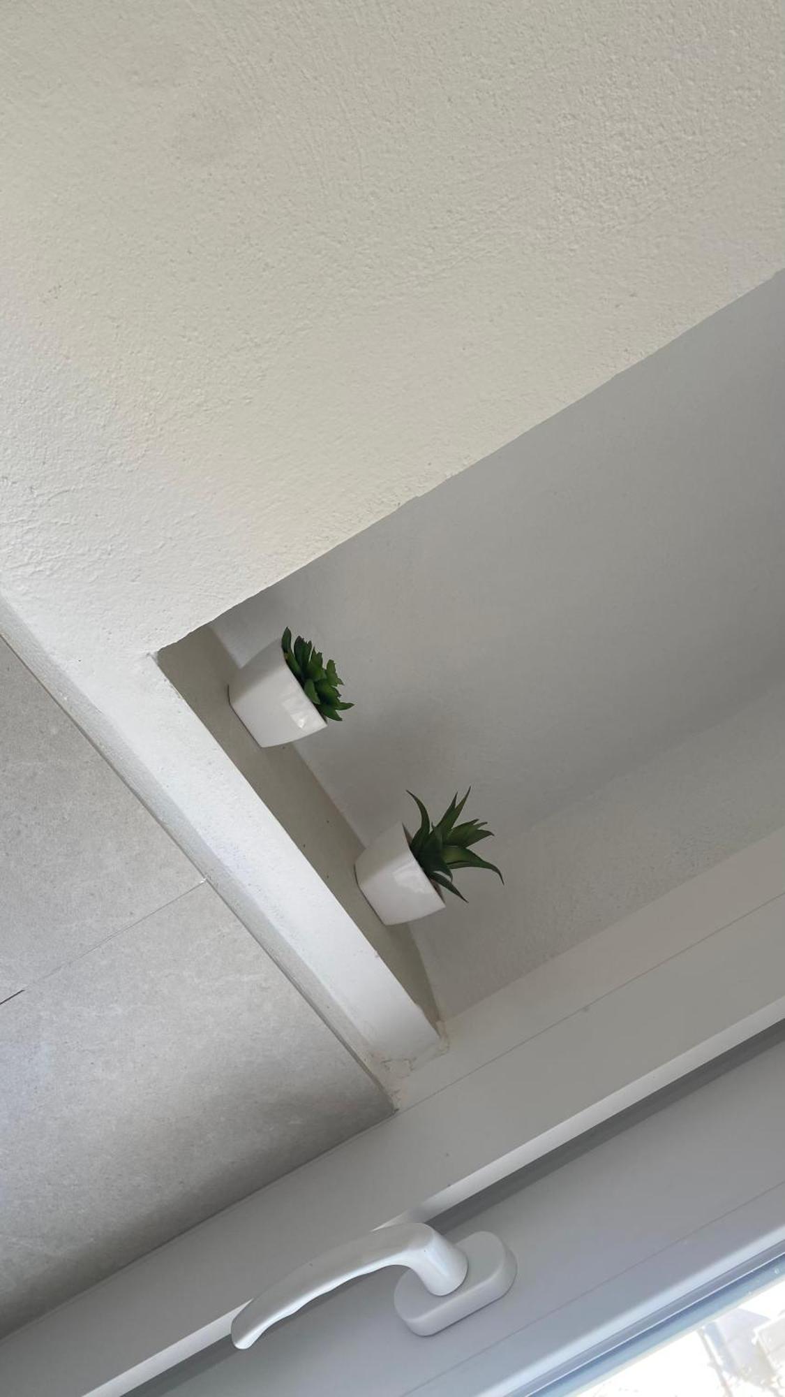 Plaza Andalucia -a 10min Caminando Del Puente Appartement